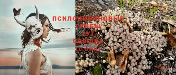 ПСИЛОЦИБИНОВЫЕ ГРИБЫ Армянск