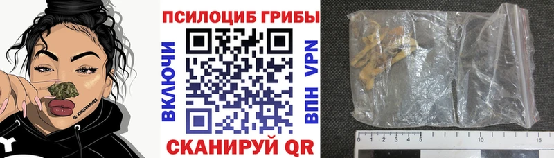 Псилоцибиновые грибы ЛСД  Купить где  Новокубанск 